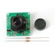 TTL Serial JPEG Camera with NTSC Video